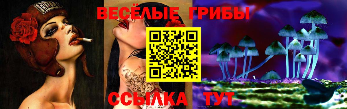 Псилоцибиновые грибы прущие грибы Котлас